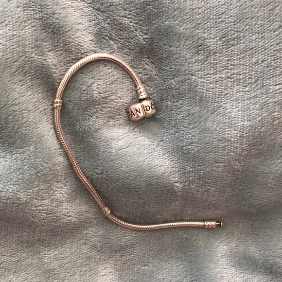 Pandora Memory Snake Bracelet - Picture 2 of 4